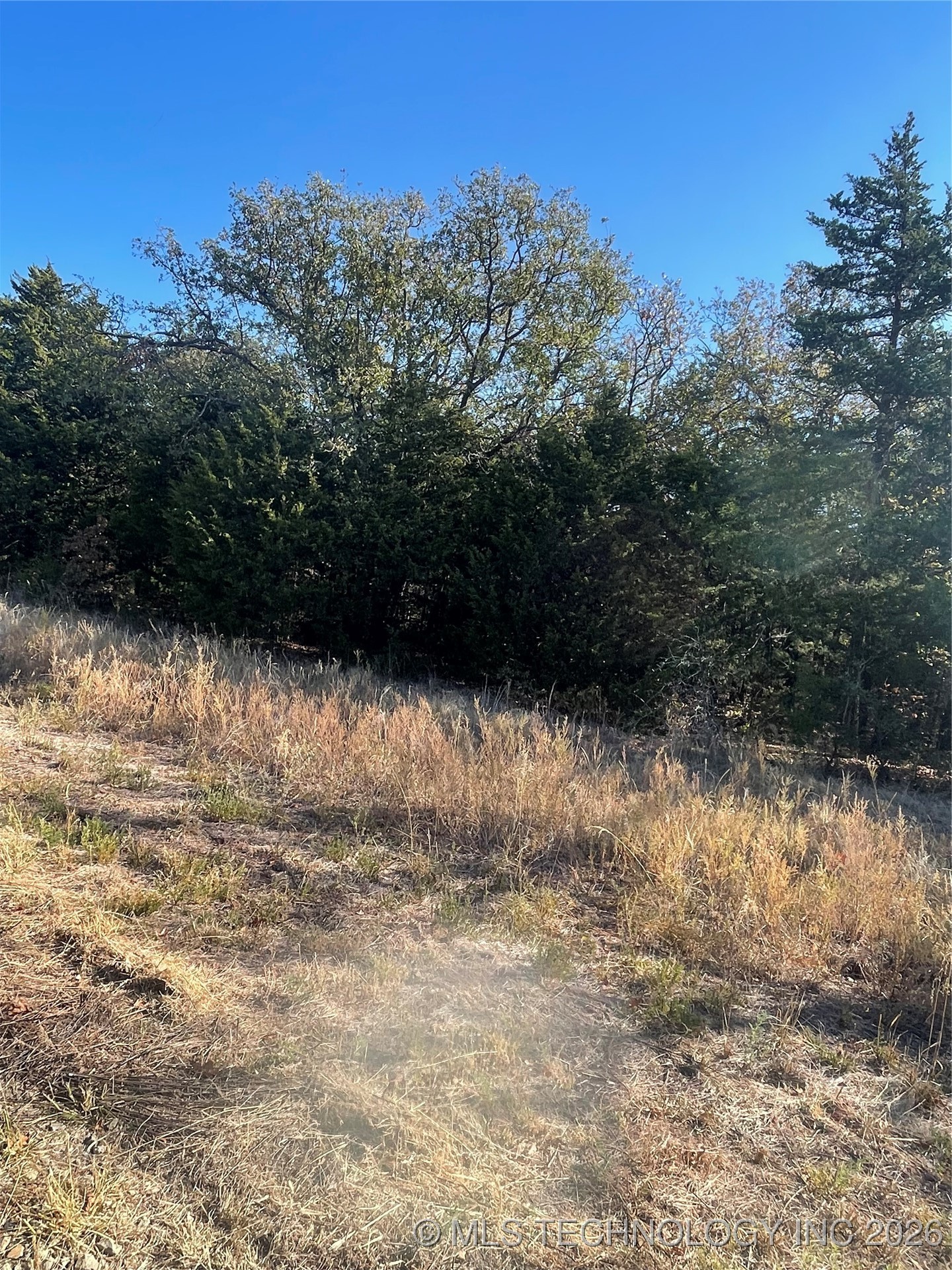 8017 W Jade Property Photo 3