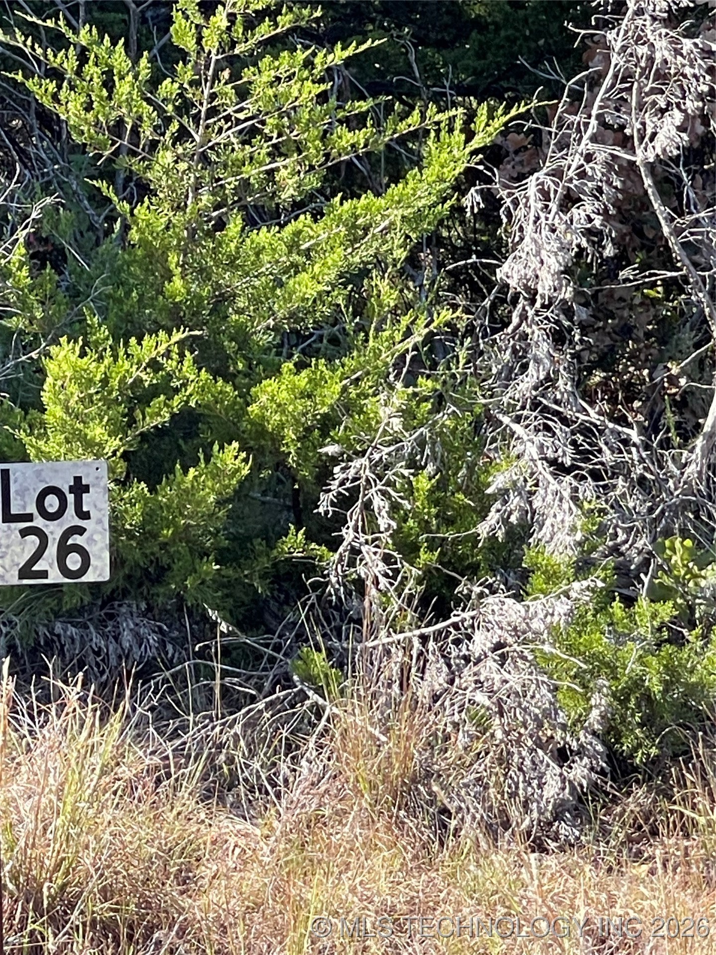 2518 S Mckenzie Property Photo 1