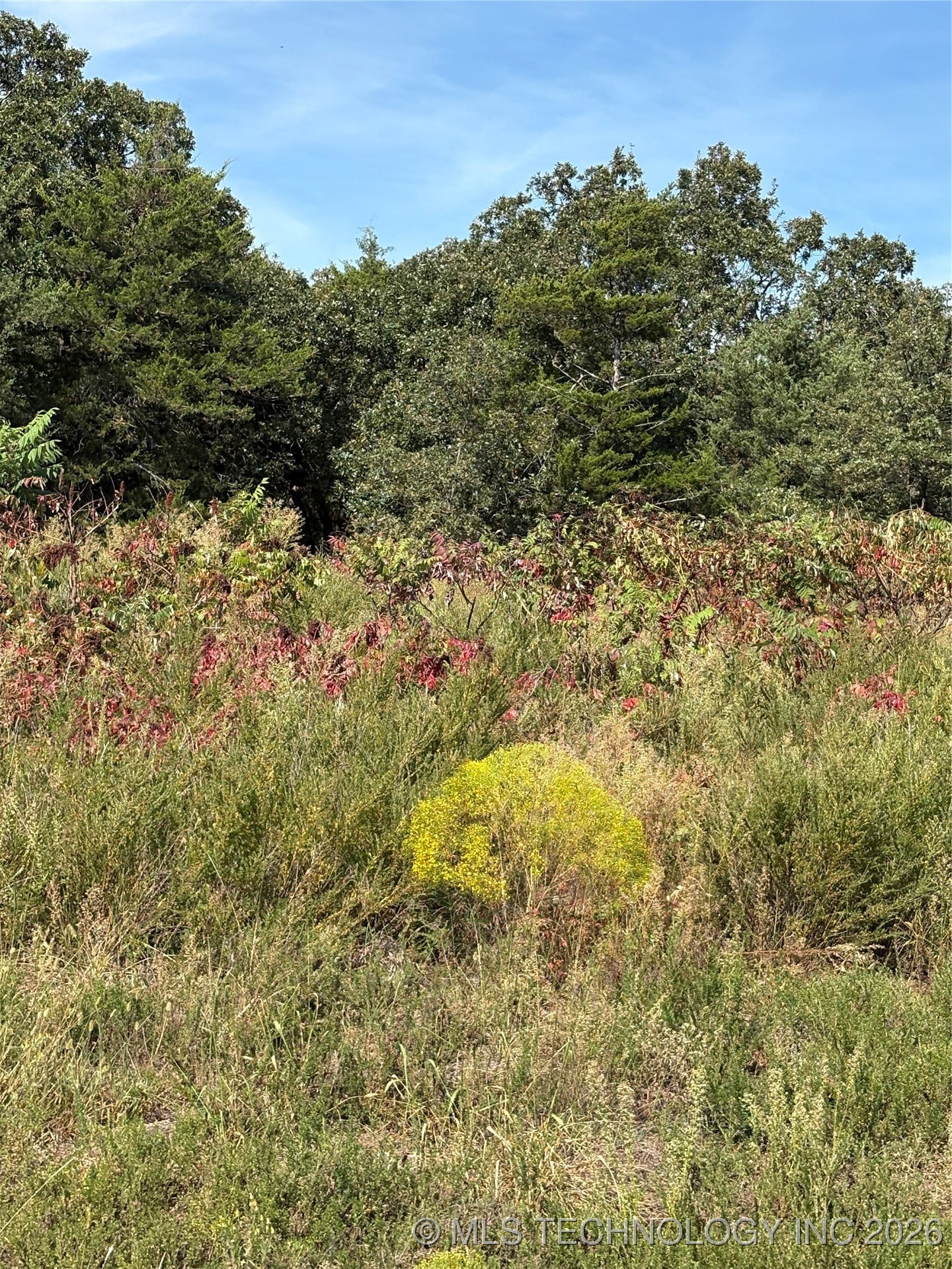 2518 S Mckenzie Property Photo 6