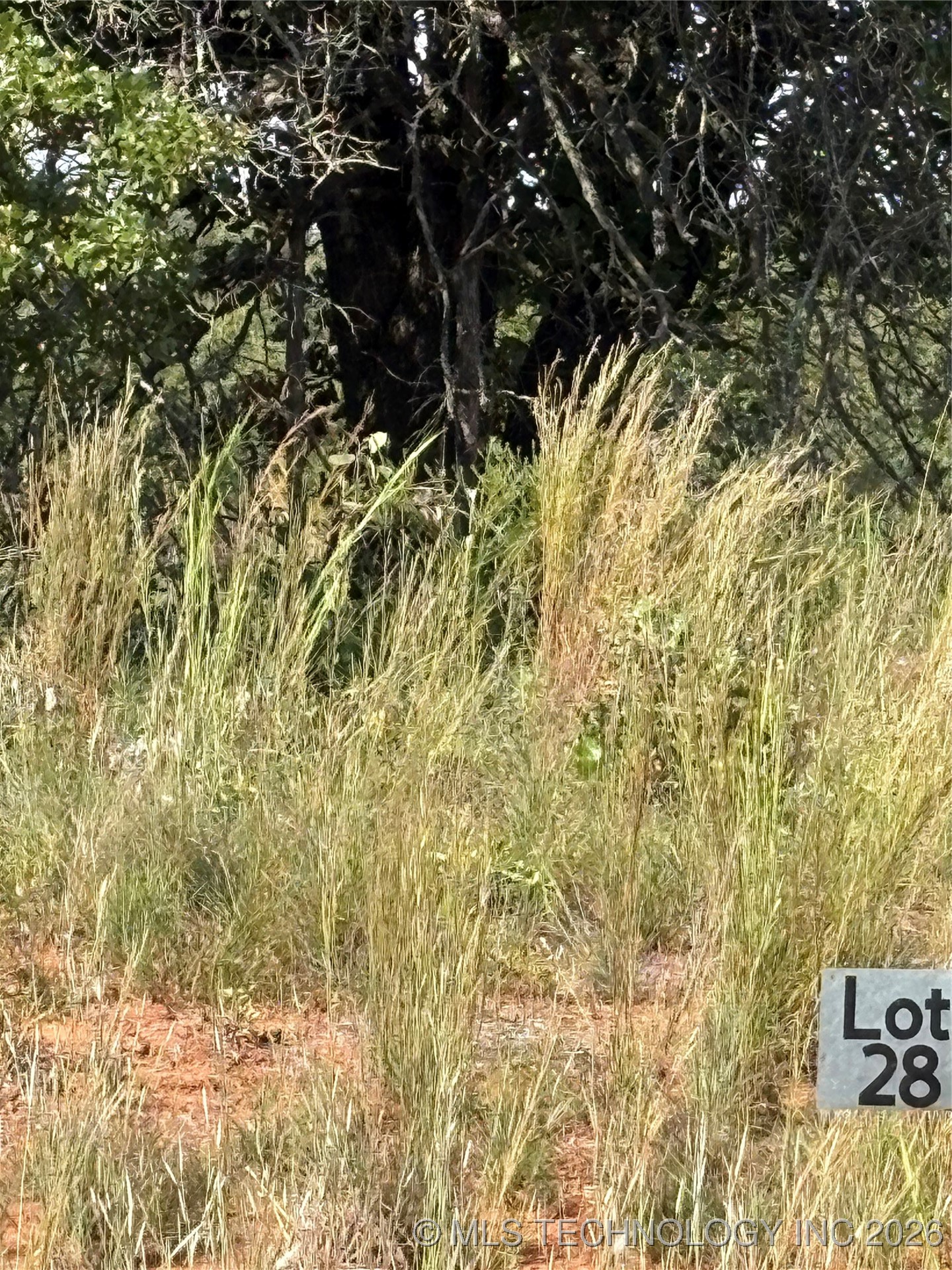 2506 S Mckenzie Property Photo 4