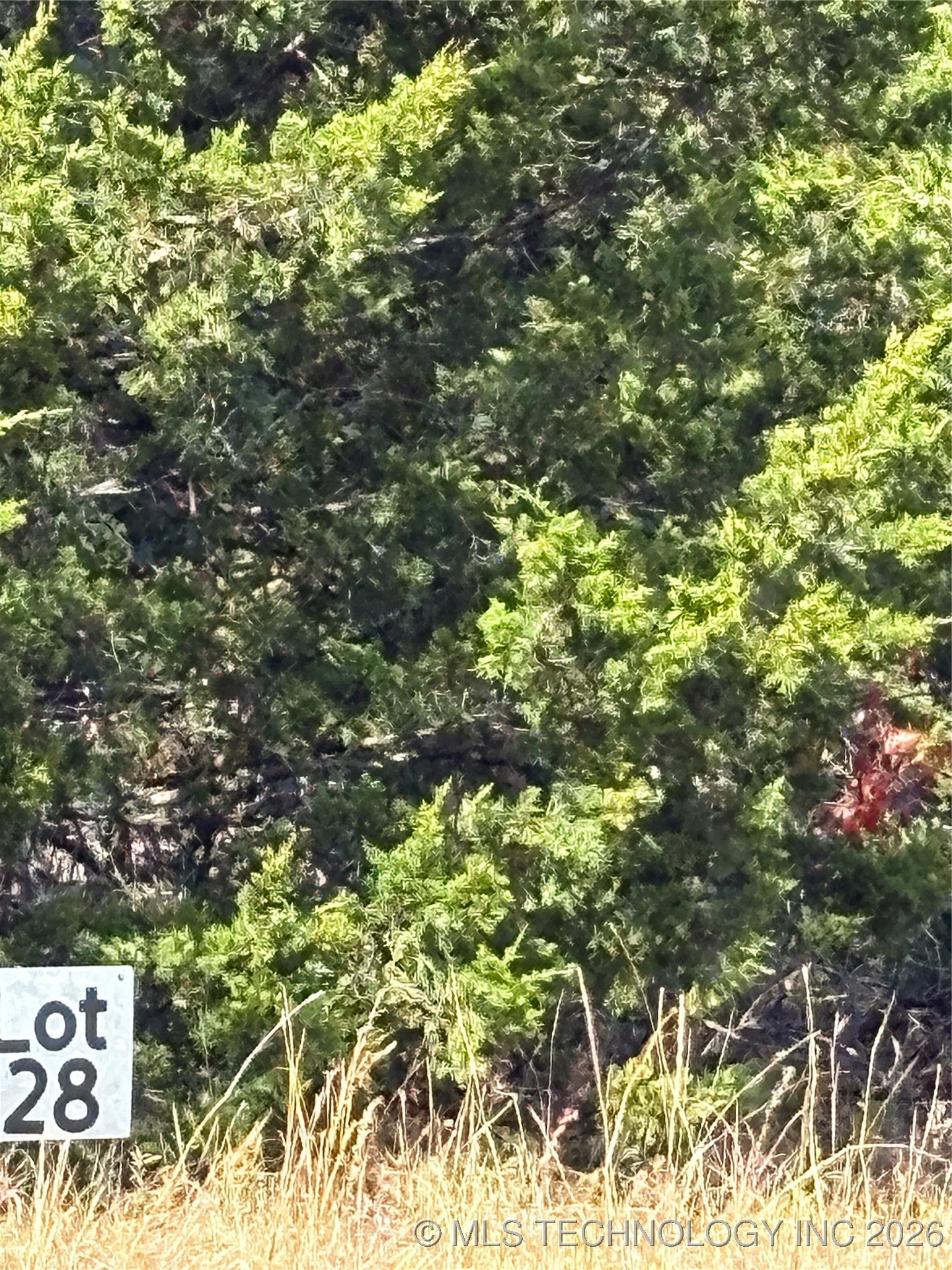 2506 S Mckenzie Property Photo 5