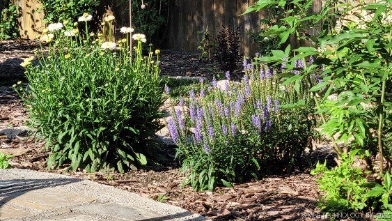 1700 S Grandview Avenue Property Photo 38