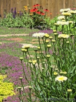 1700 S Grandview Avenue Property Photo 41