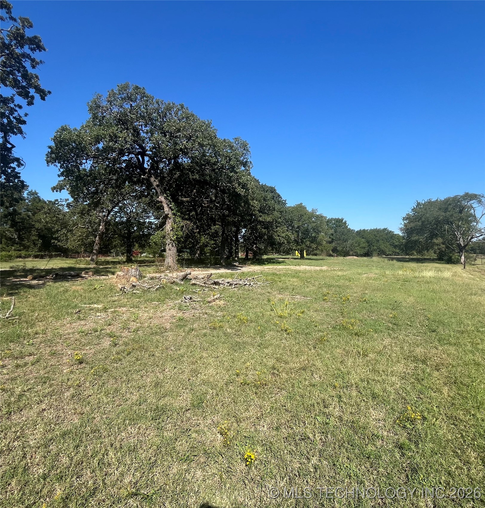 1915 Springdale Road Property Photo 3