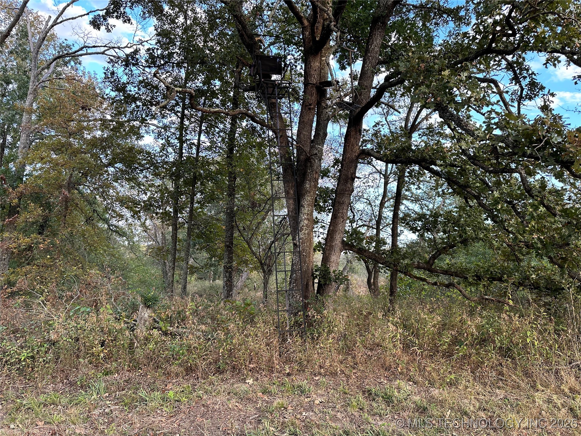 County Road 3780 Property Photo 7