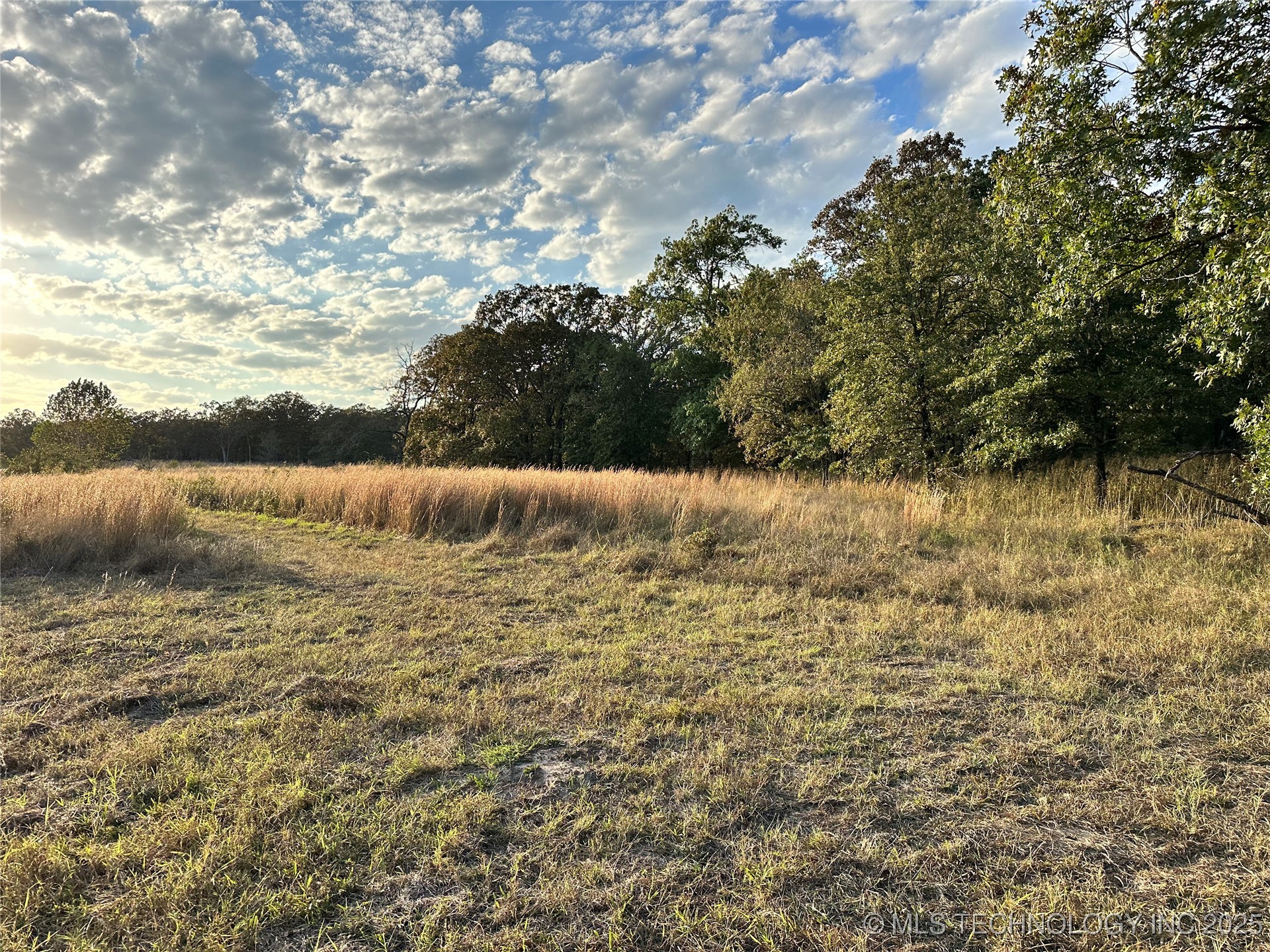 County Road 3780 Property Photo 8