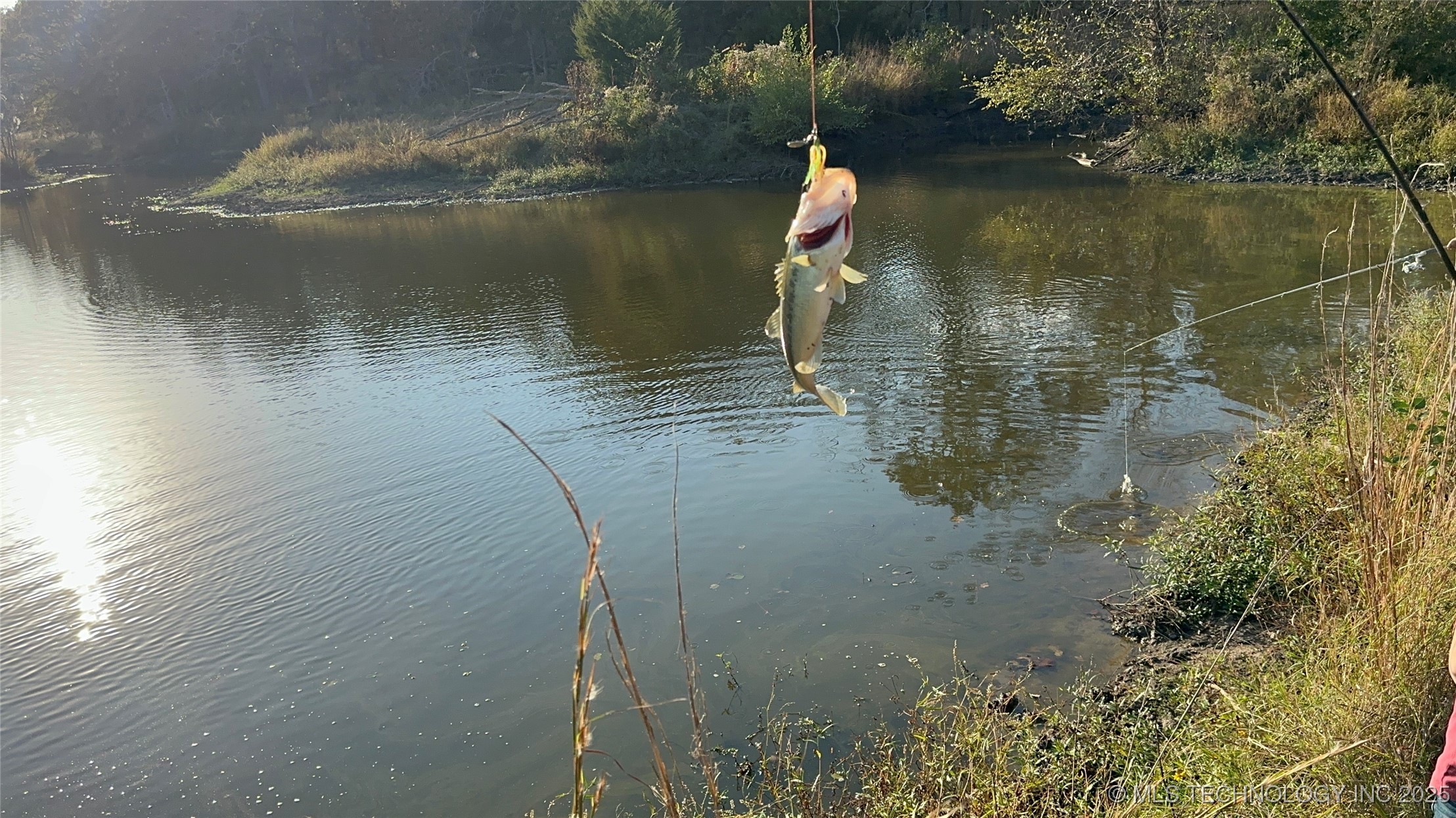 County Road 3780 Property Photo 12