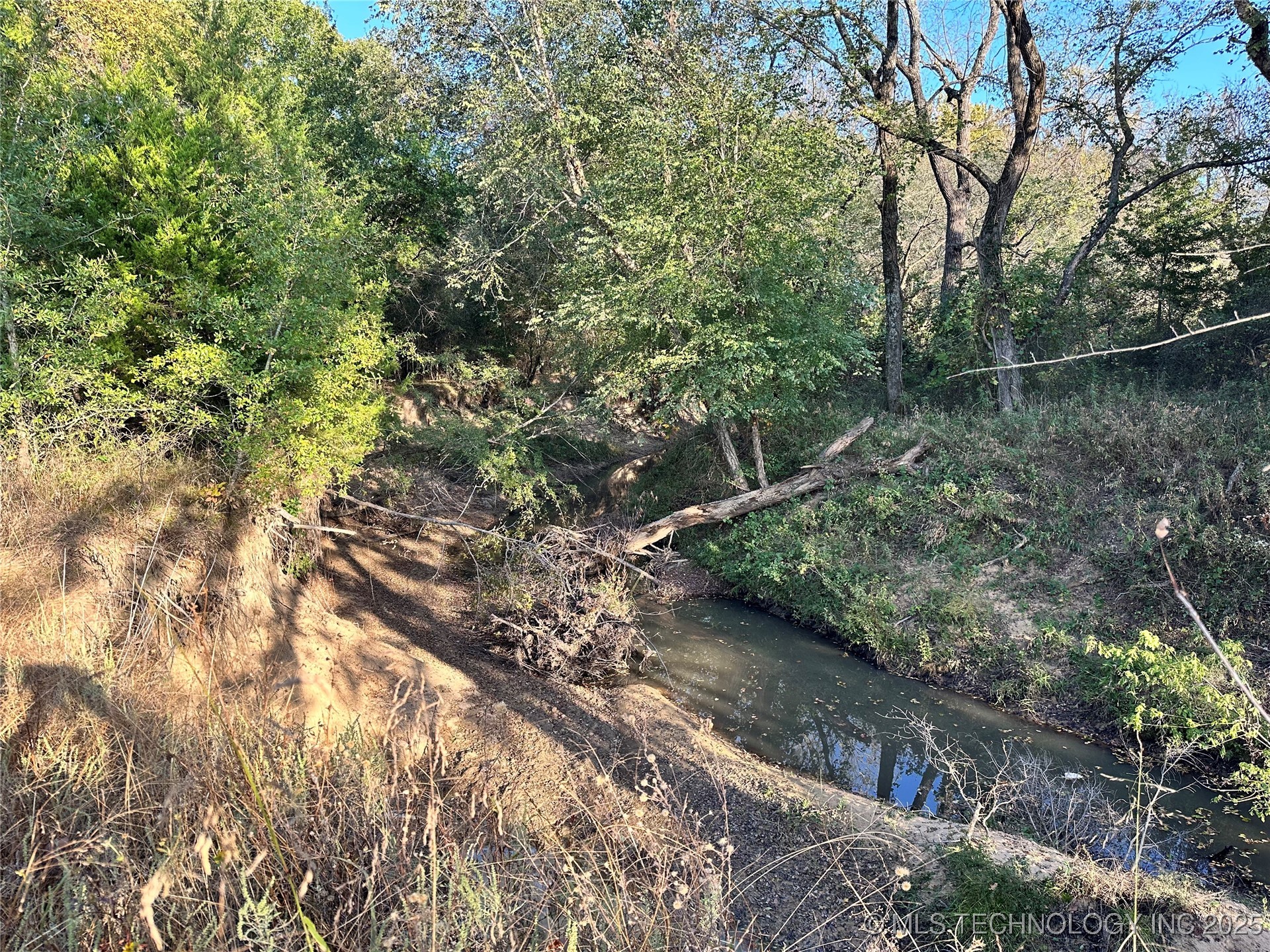 County Road 3780 Property Photo 18