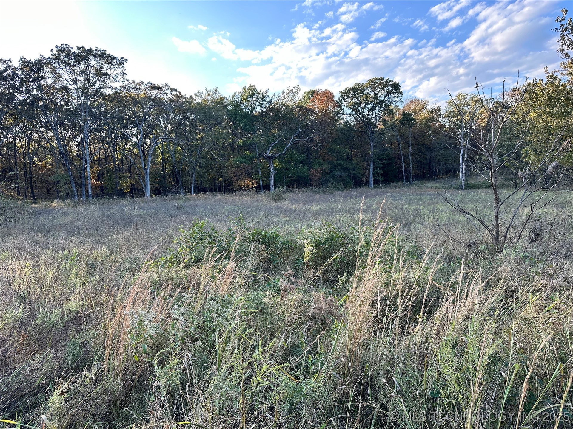 County Road 3780 Property Photo 19