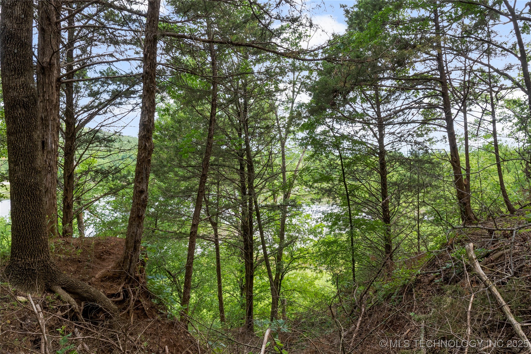 03782 S 137th West Avenue Property Photo 13