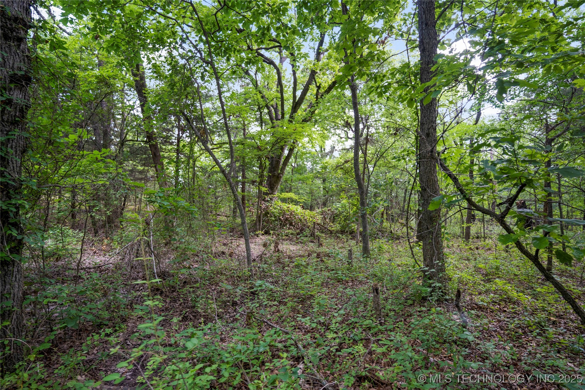 03782 S 137th West Avenue Property Photo 27