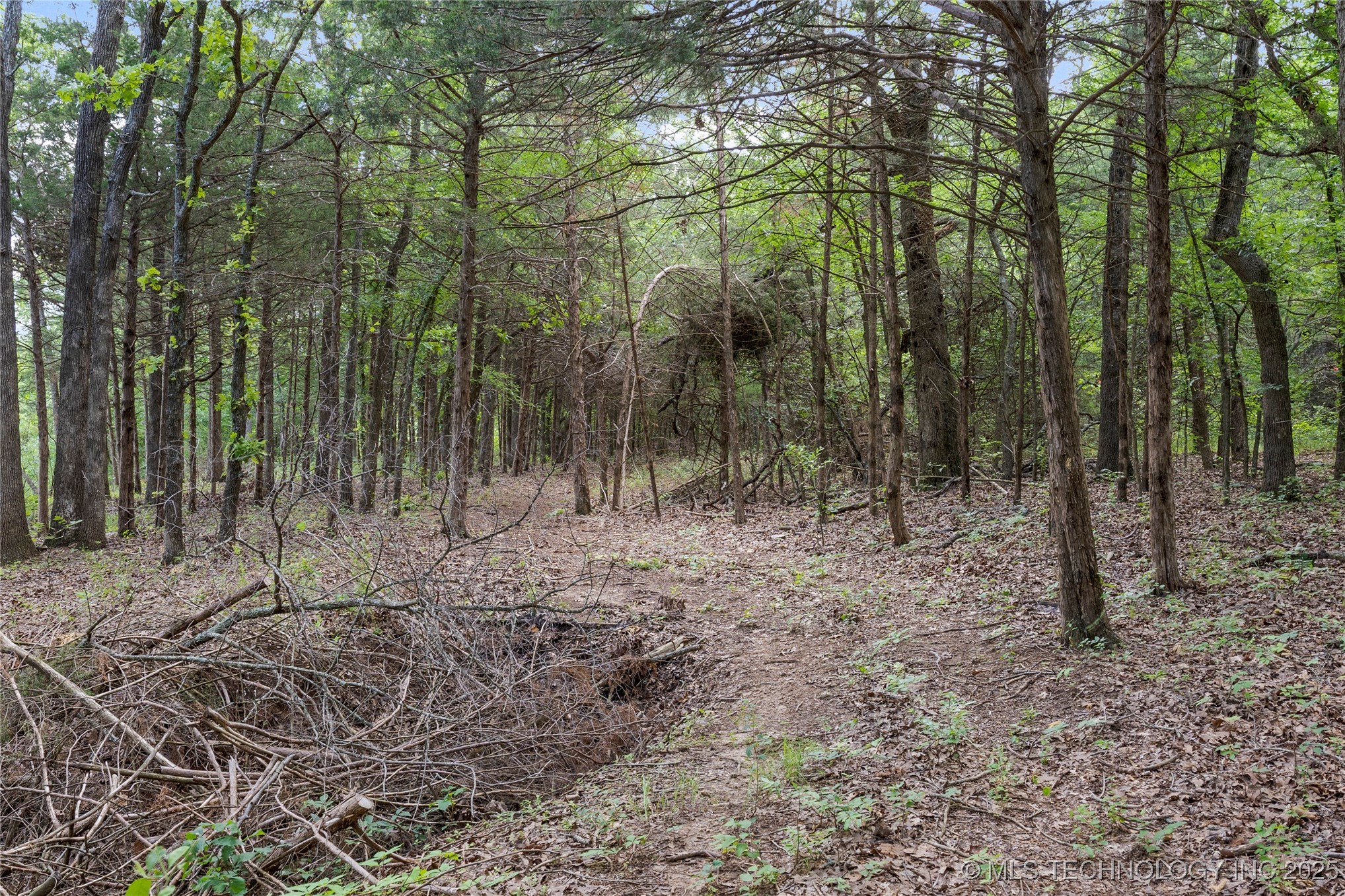 03782 S 137th West Avenue Property Photo 28