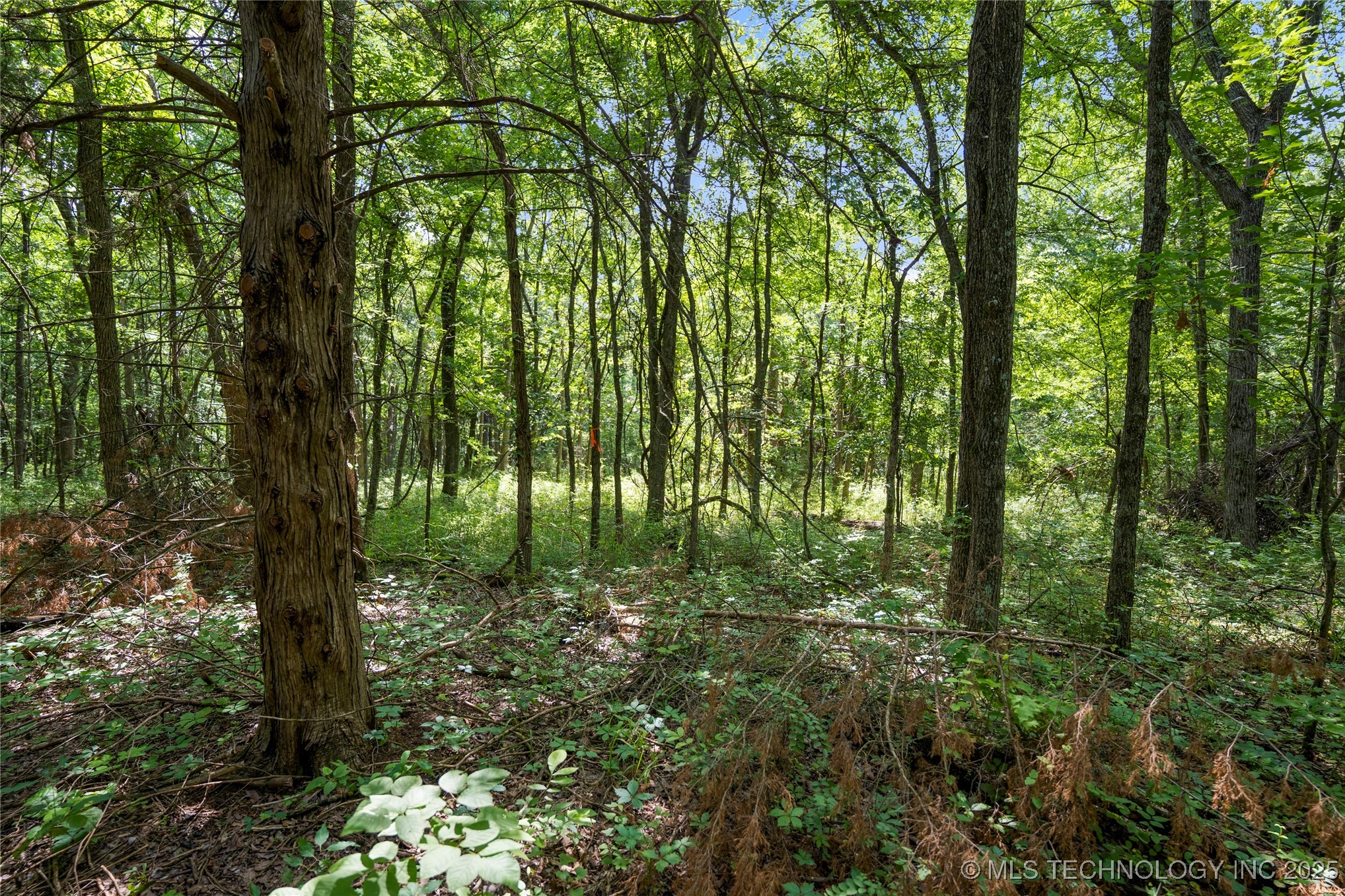03782 S 137th West Avenue Property Photo 30