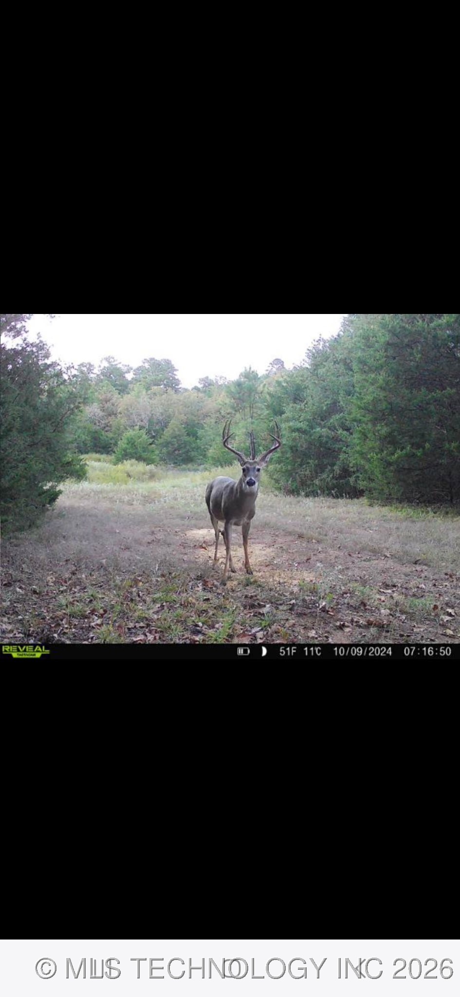 3340 Se 1083 Road Property Photo 78