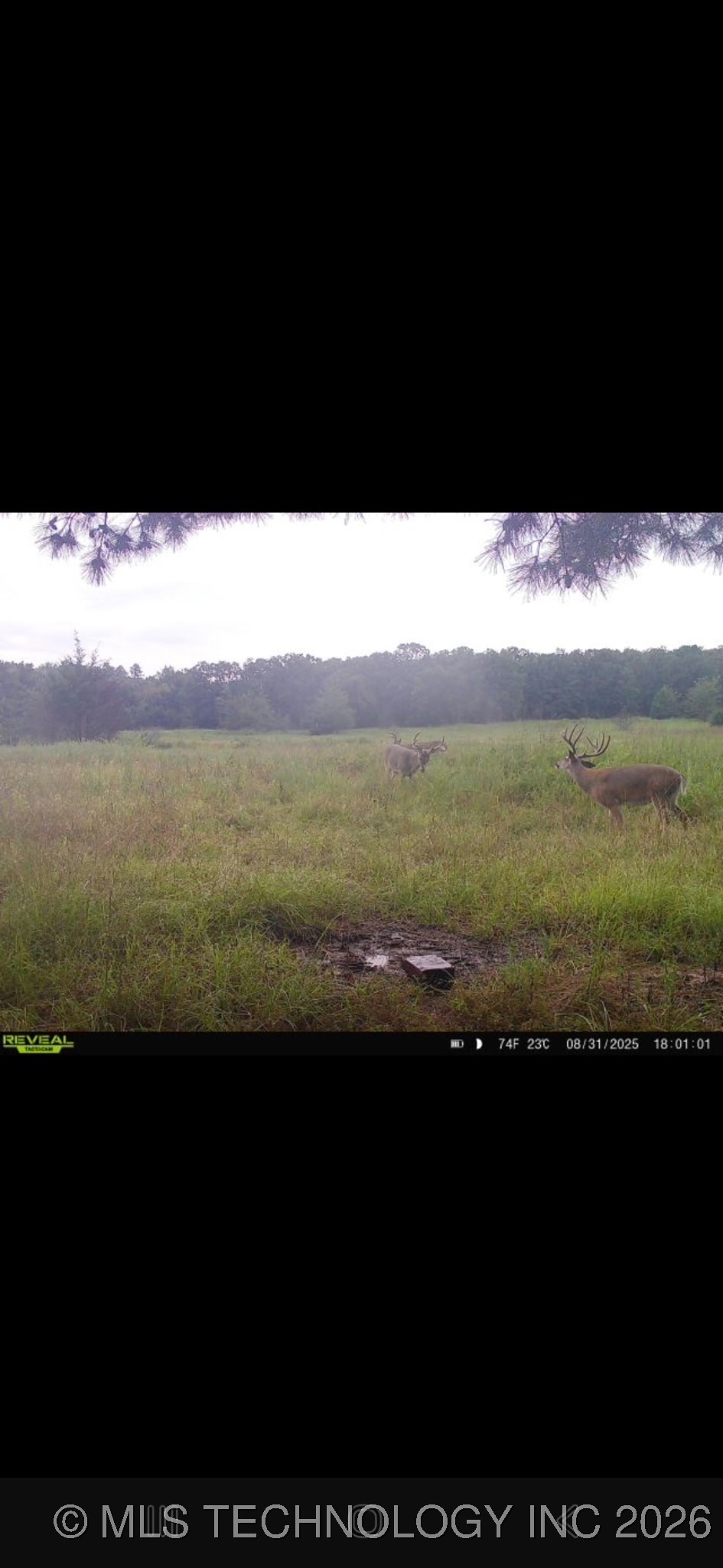 3340 Se 1083 Road Property Photo 82