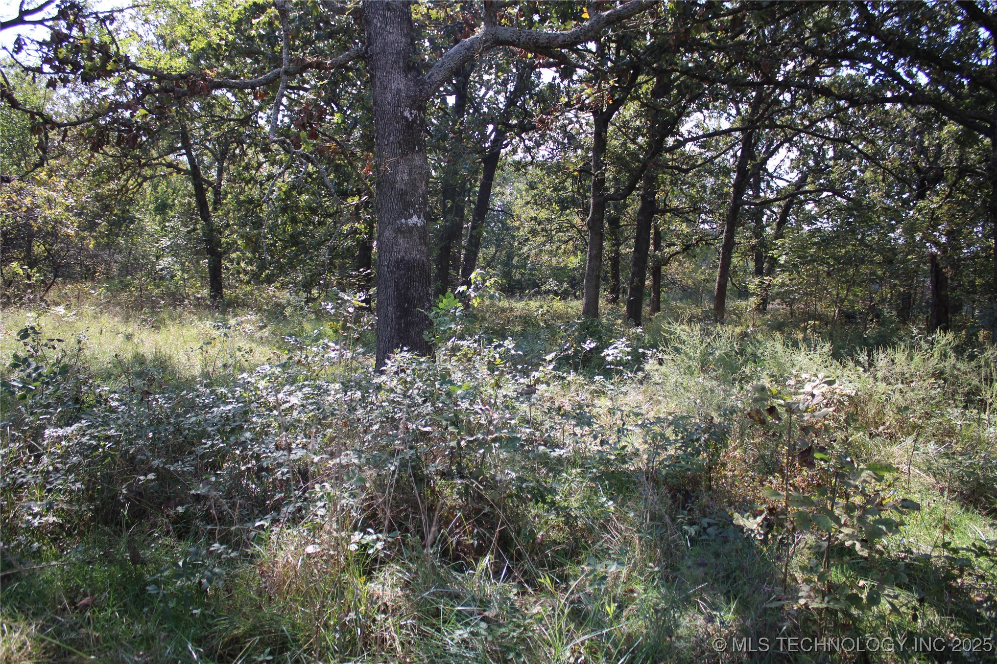 0000 E 380 Road Property Photo 19