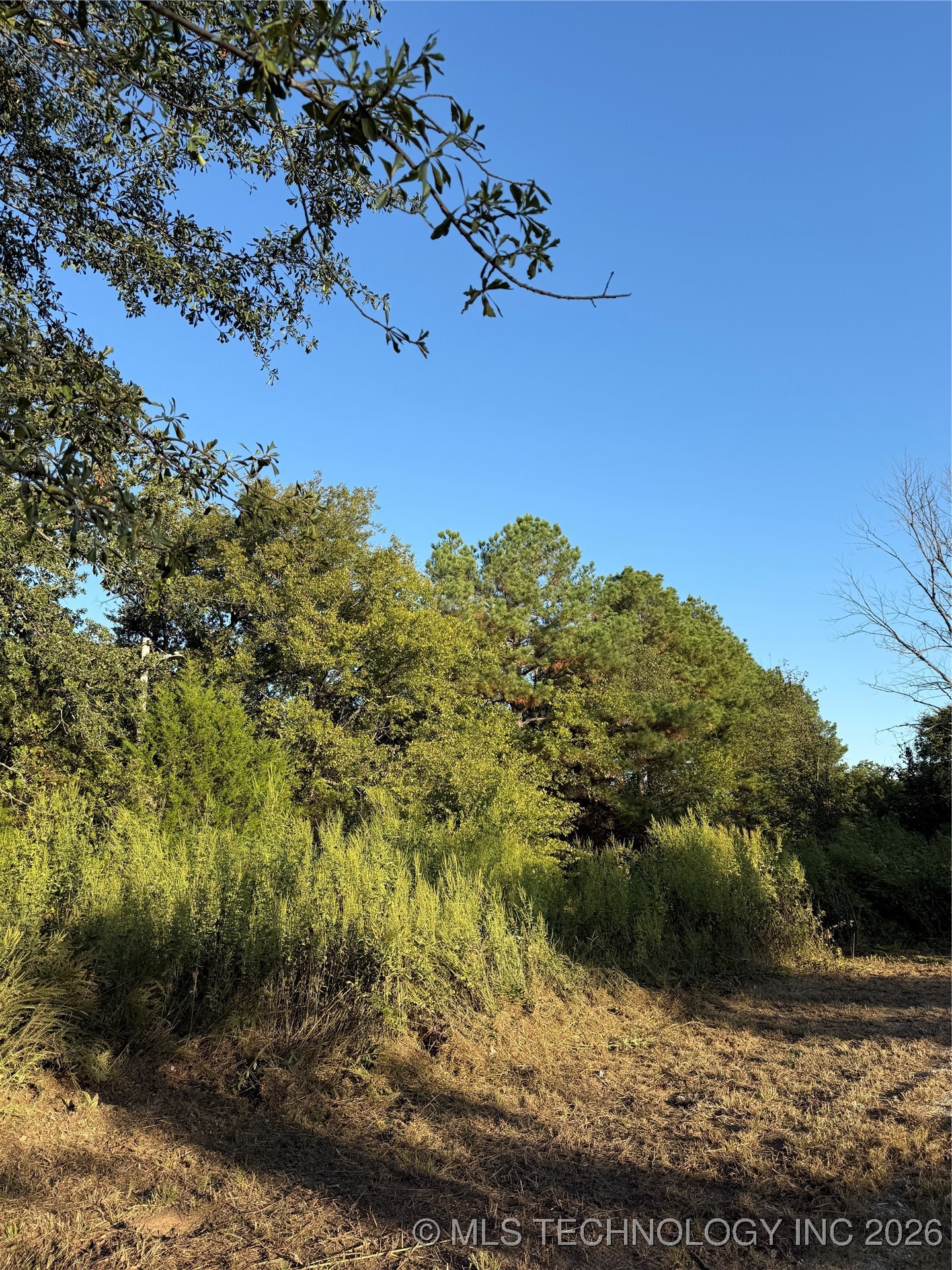 2048 Mockingbird Property Photo 3