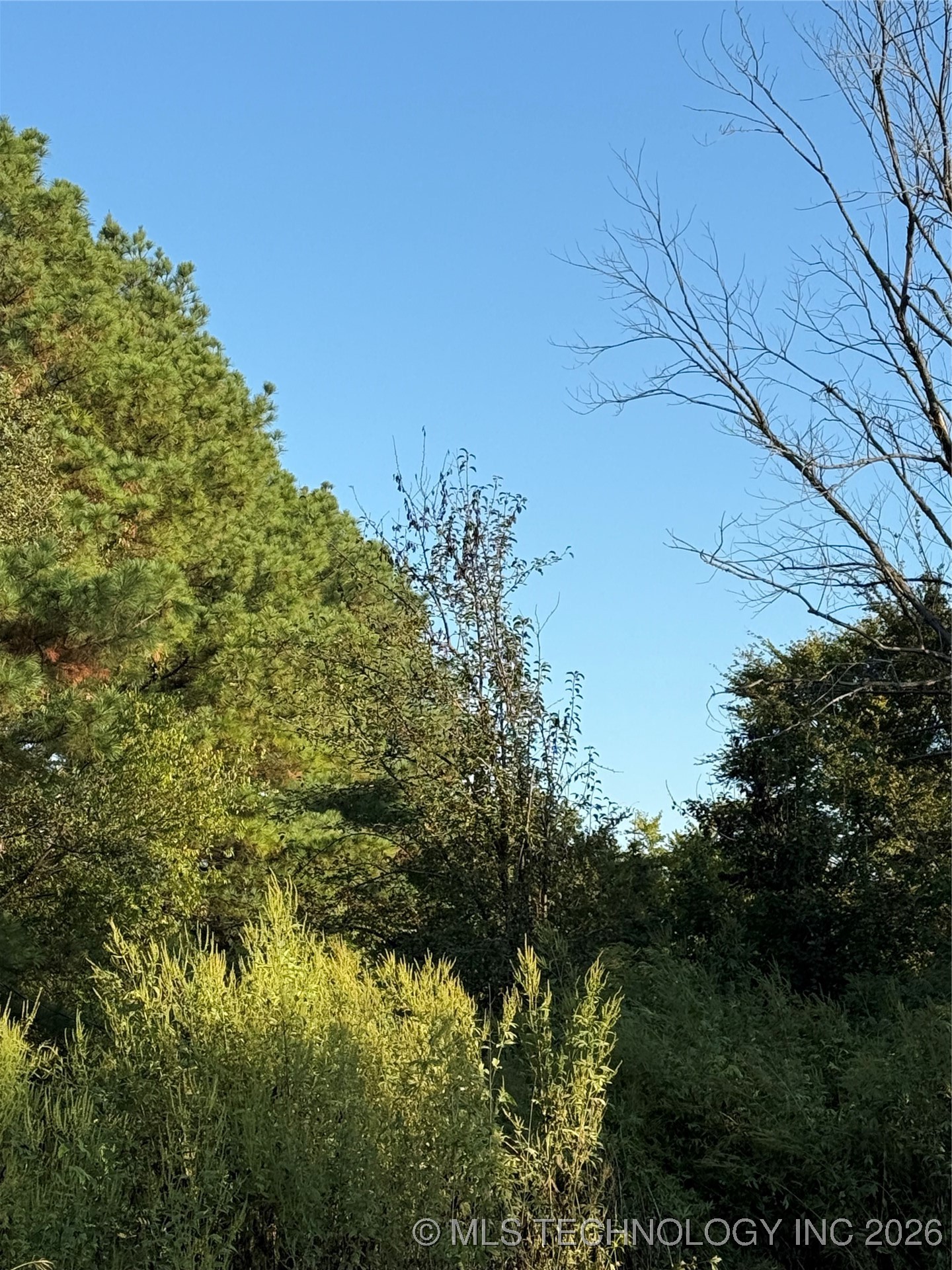 2048 Mockingbird Property Photo 4