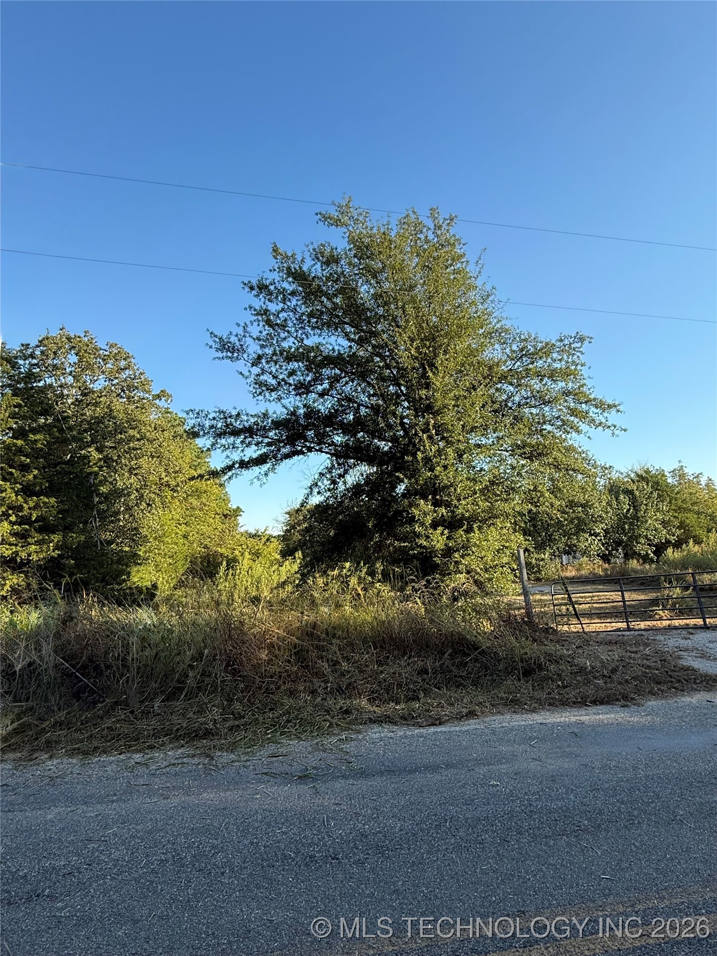 2048 Mockingbird Property Photo 5