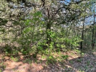 1173 Eagle Loop Drive Property Photo 12