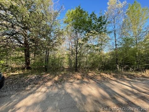 1173 Eagle Loop Drive Property Photo 14