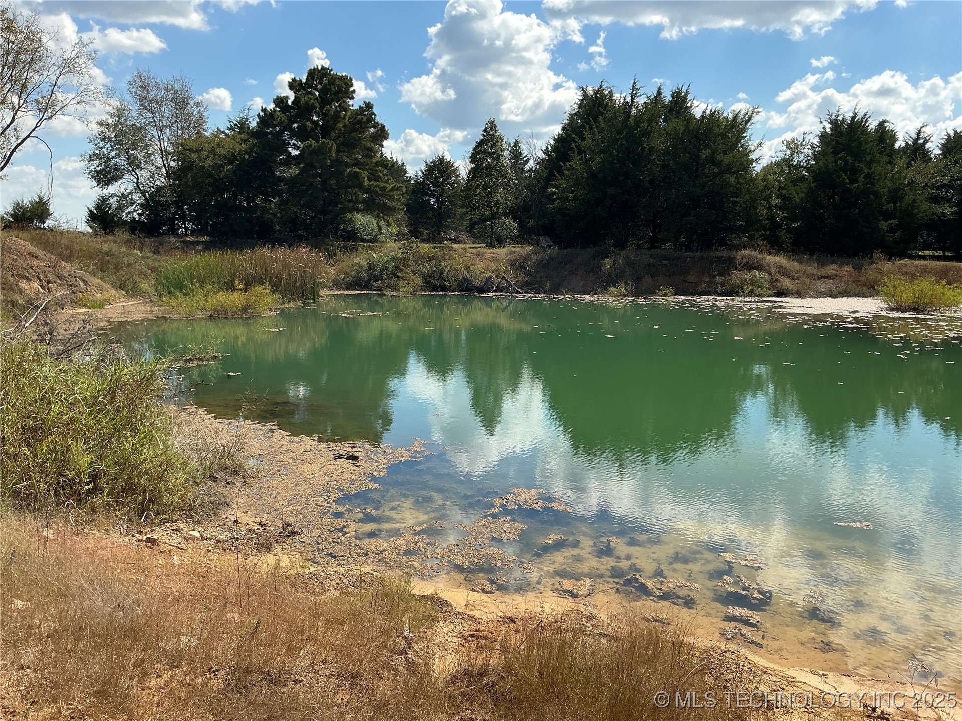 1163 S Risner Street Property Photo 6