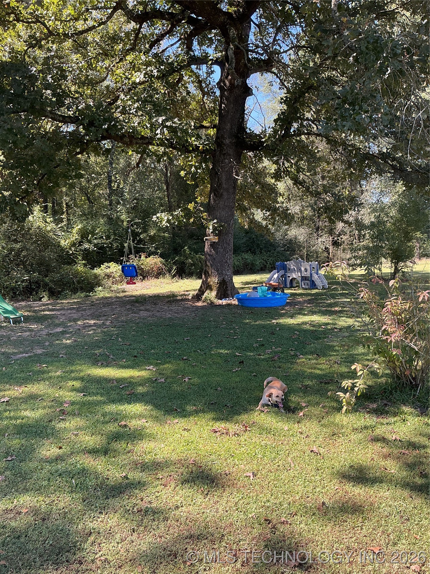 701 Cassie Street Property Photo 12