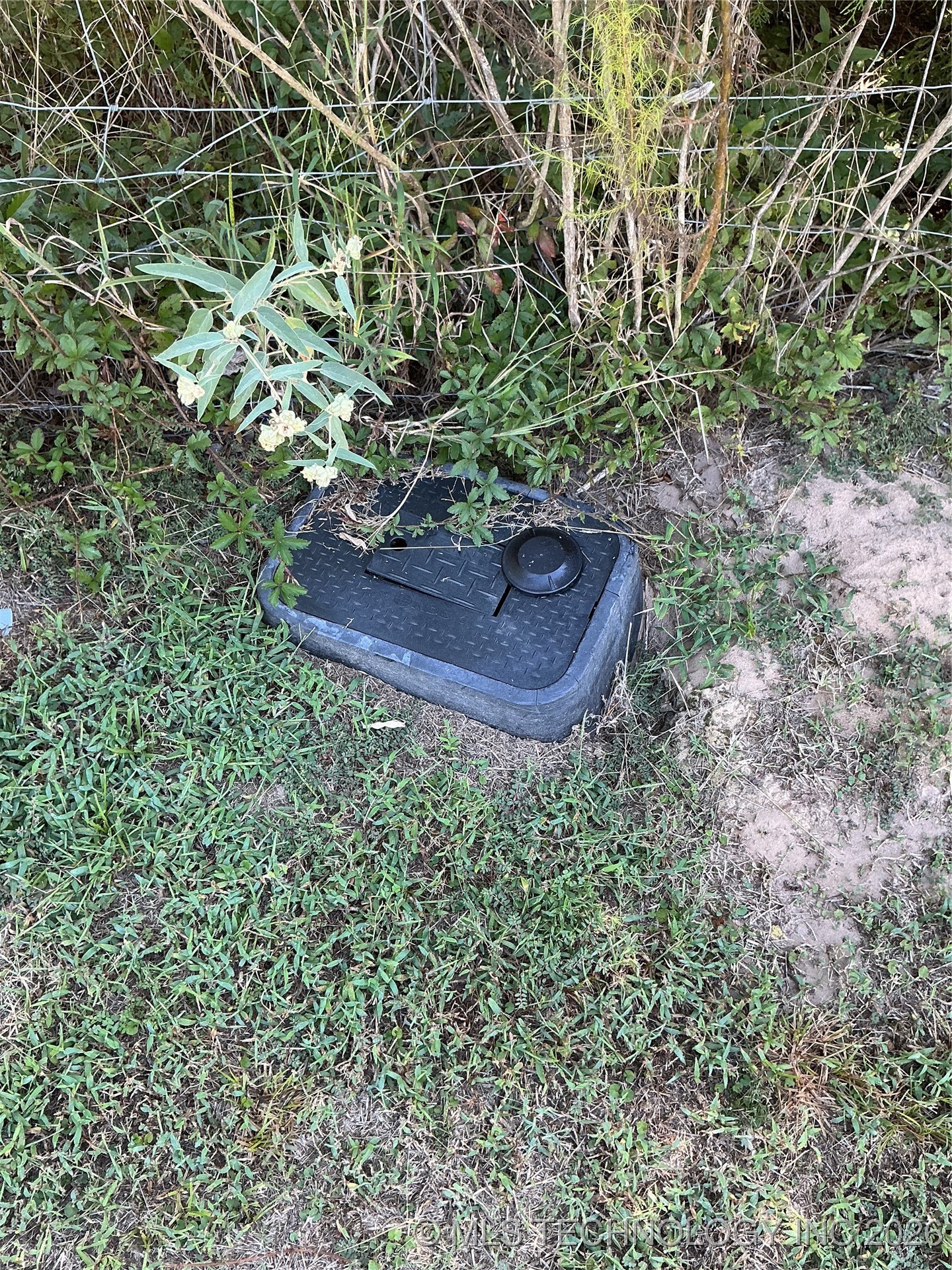 701 Cassie Street Property Photo 29