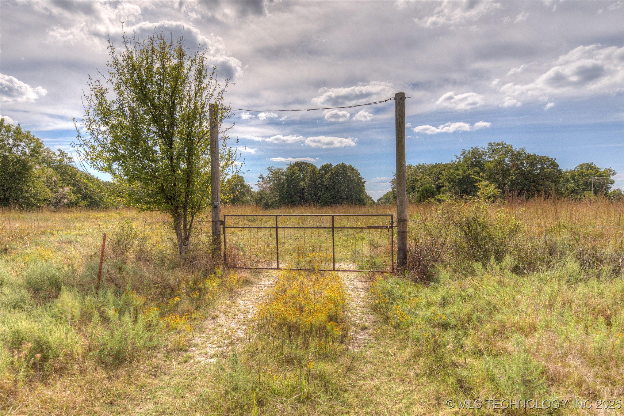 County Road 2561 Property Photo 14