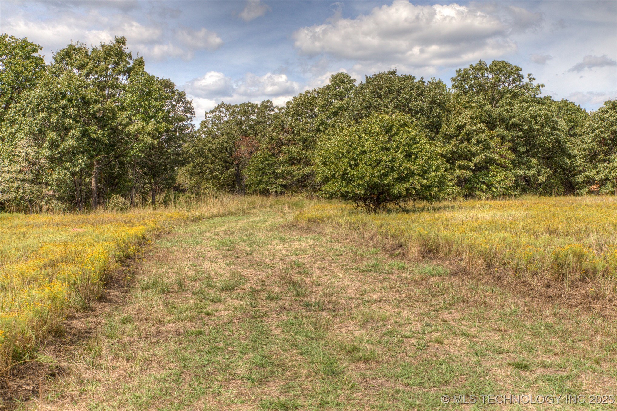 County Road 2561 Property Photo 30