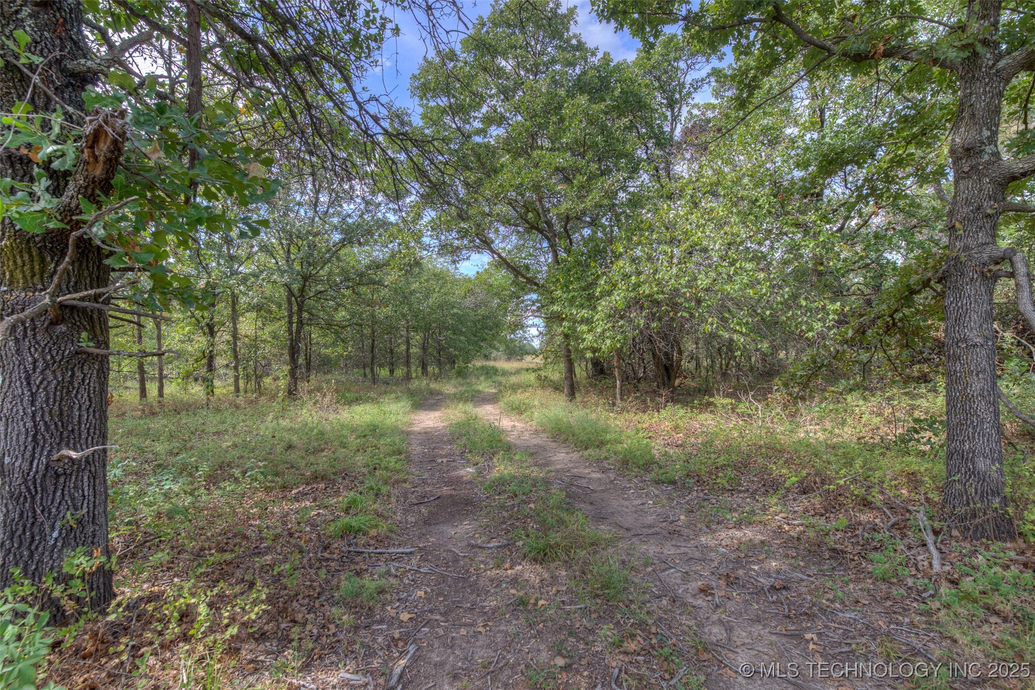 County Road 2561 Property Photo 32
