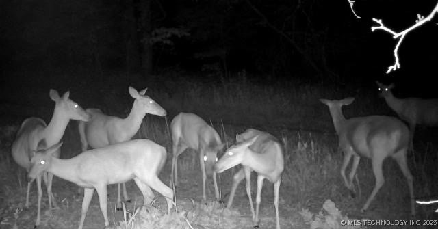 County Road 2561 Property Photo 39