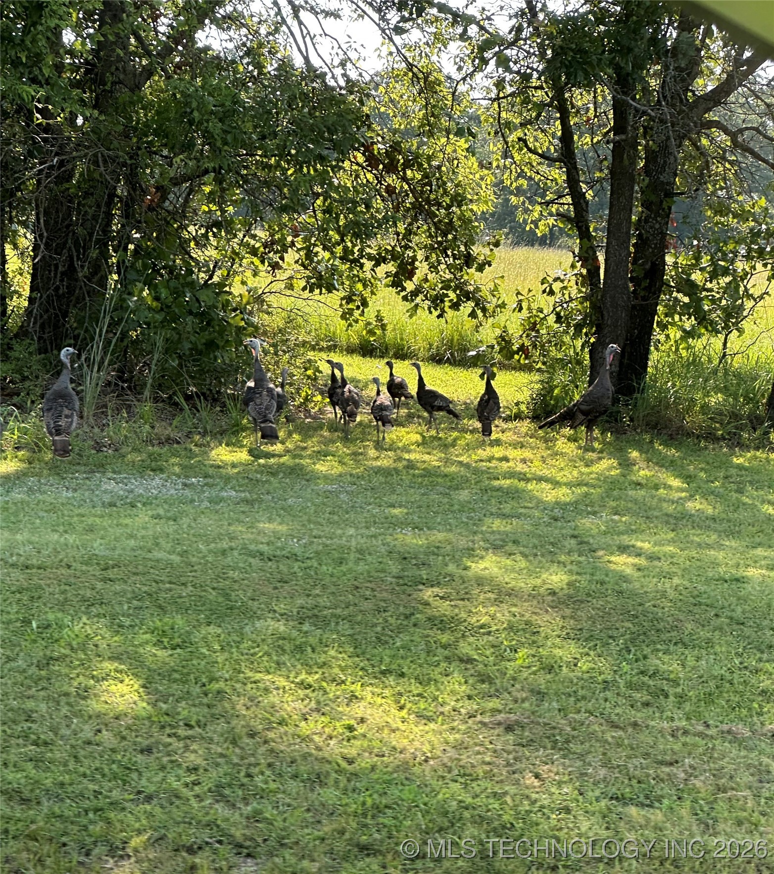 County Road 2561 Property Photo 42