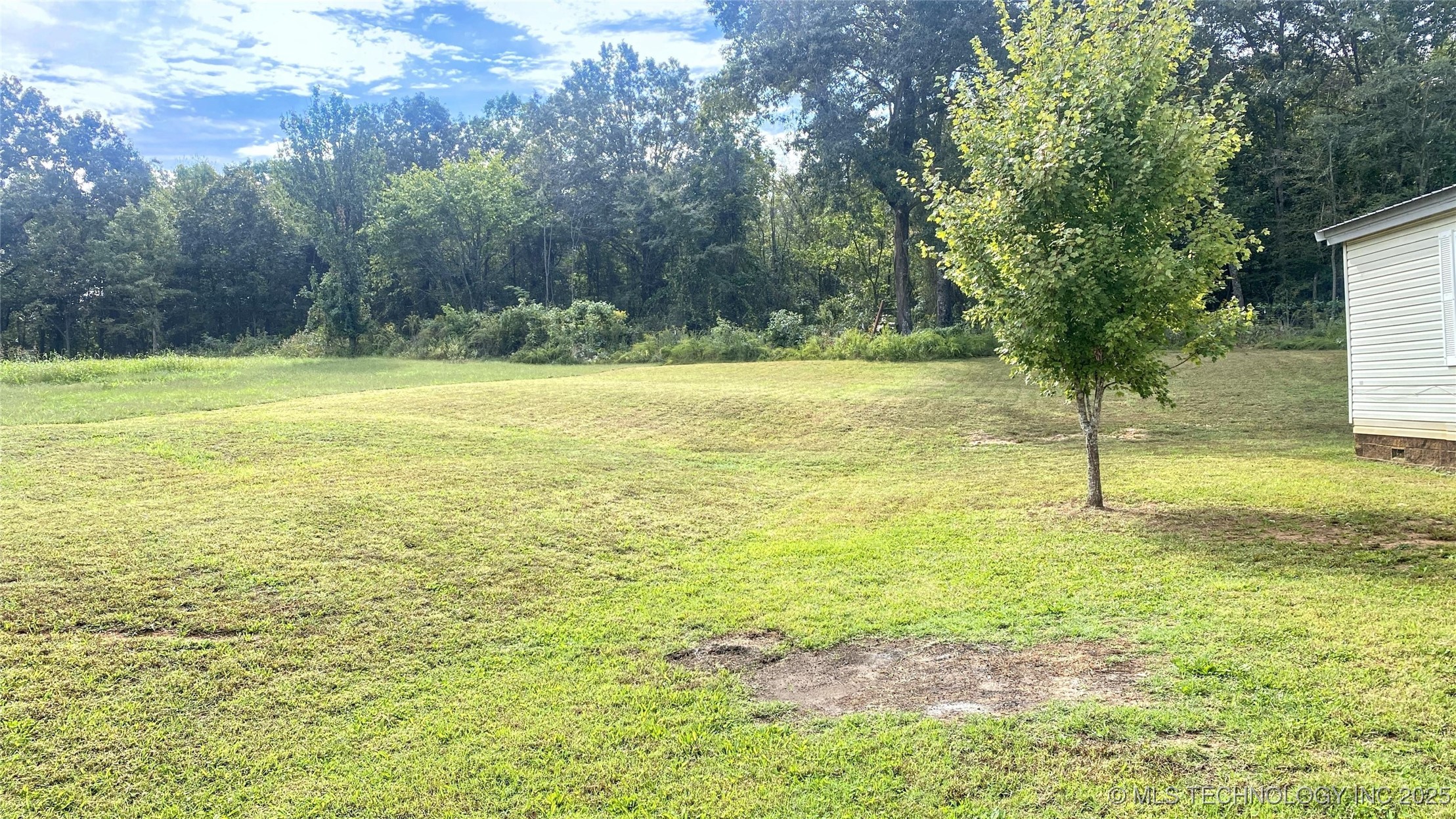 466698 Hwy 51 Property Photo 29