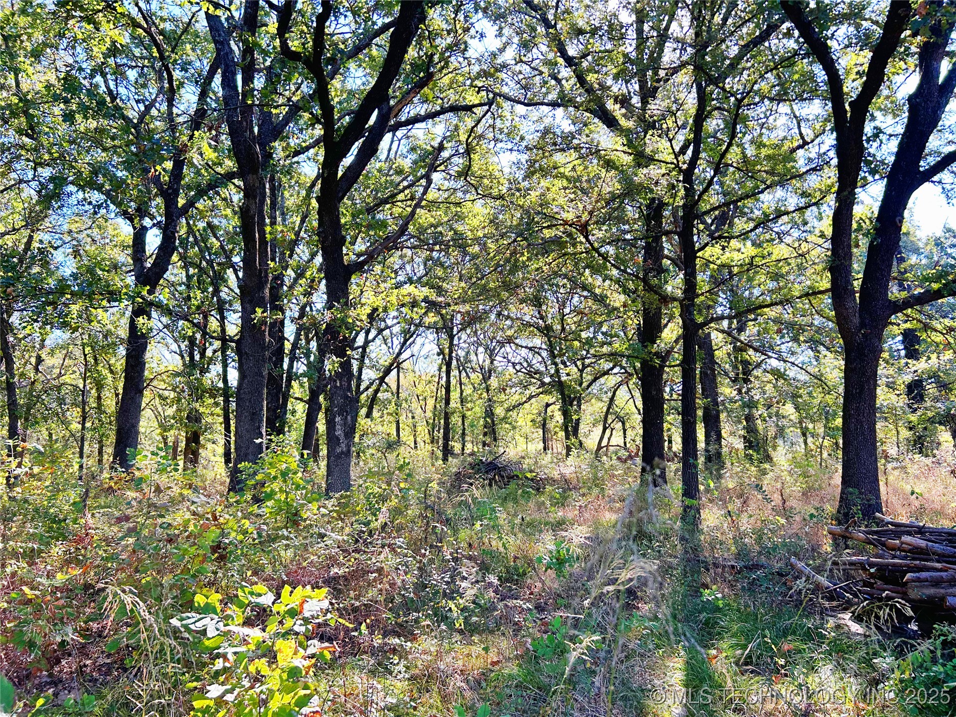 404517 E 1080 Road Property Photo 48