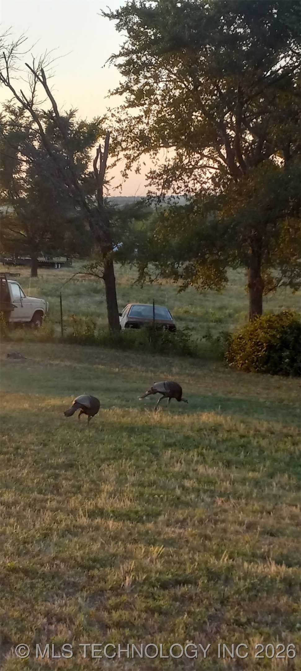 404517 E 1080 Road Property Photo 53