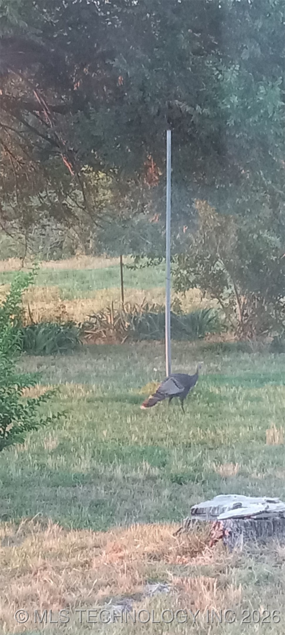 404517 E 1080 Road Property Photo 54