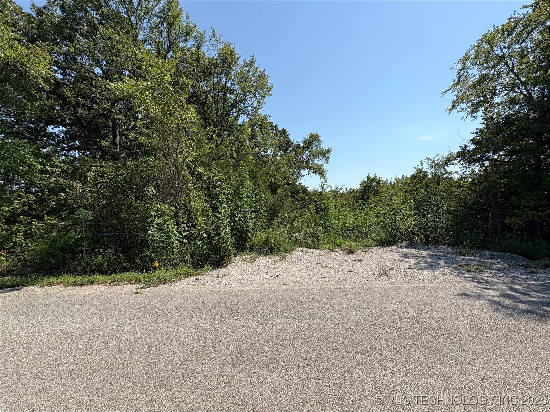 Mockingbird Property Photo 1