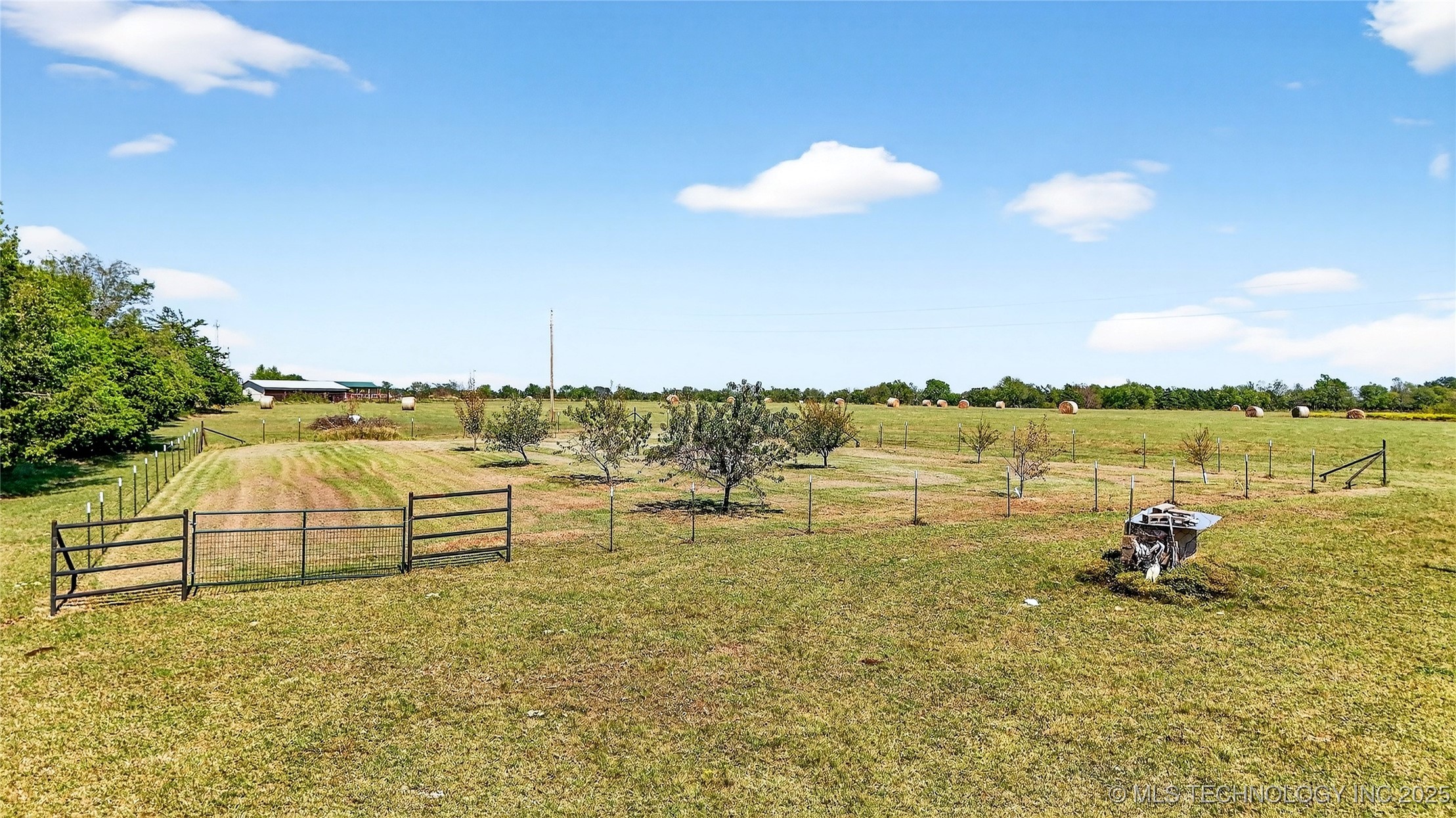 16980 Hayes Road Property Photo 50