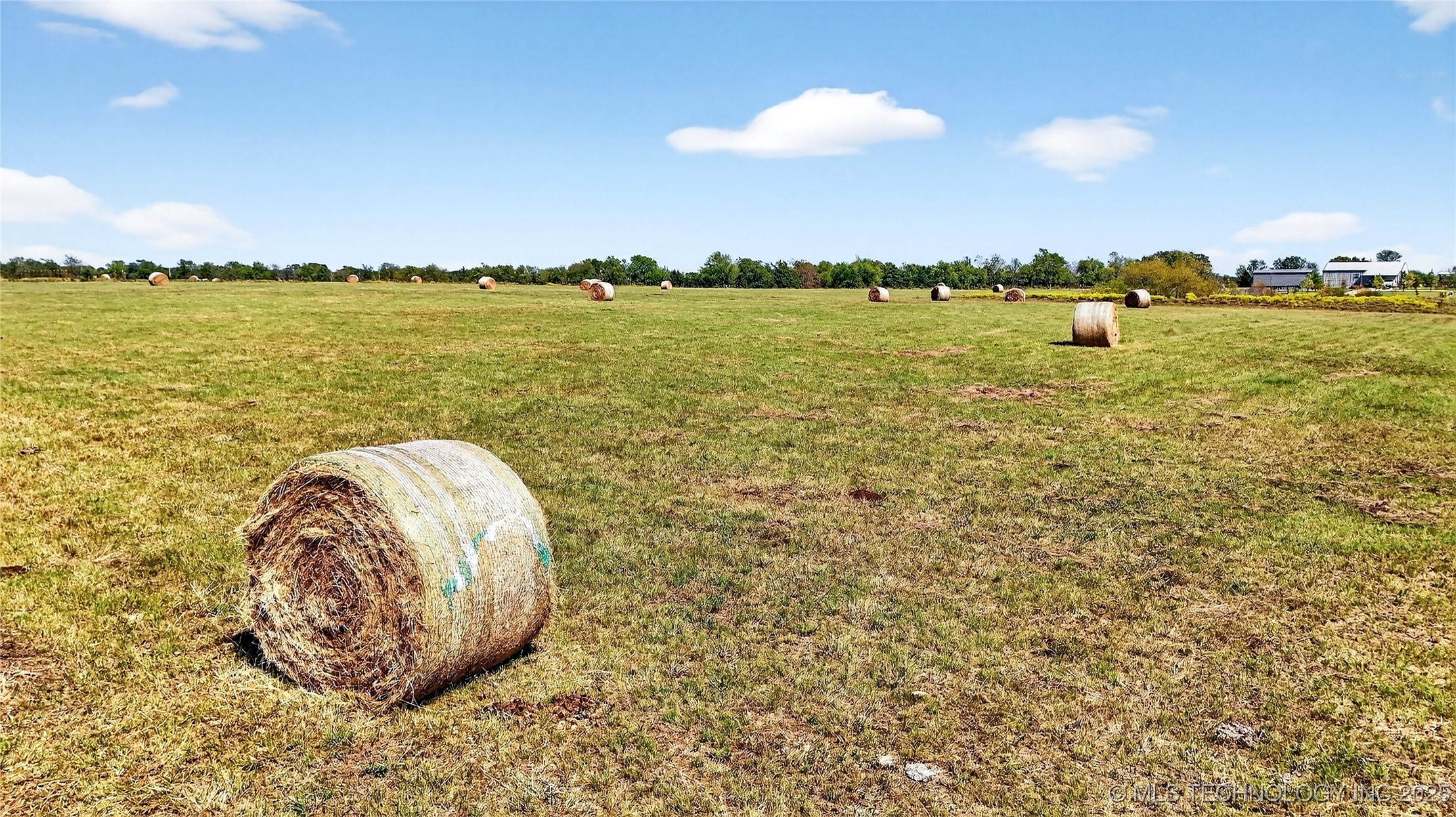 16980 Hayes Road Property Photo 51