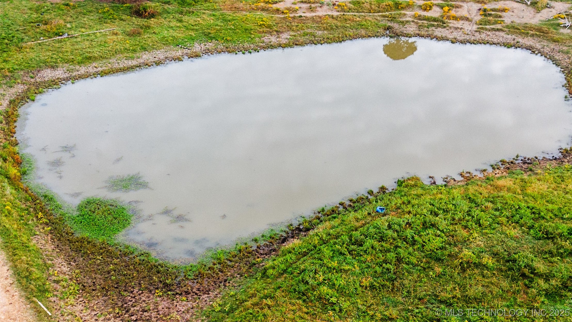 401341 Hwy 10 Property Photo 5