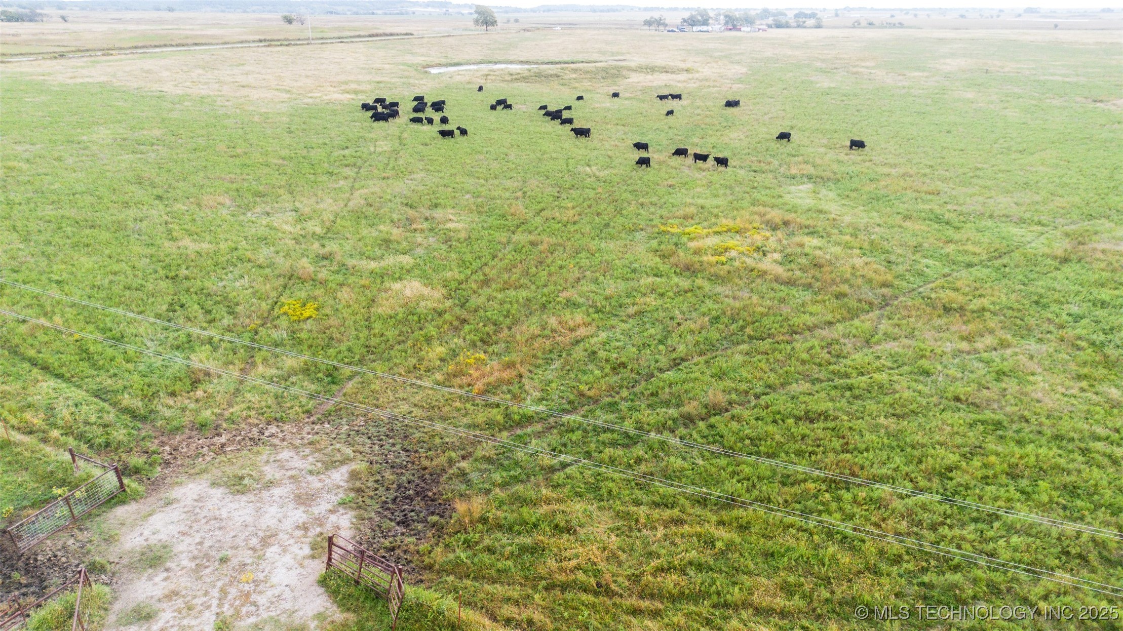 401341 Hwy 10 Property Photo 6