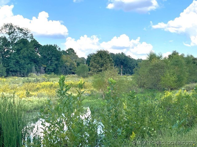 1250 Elder Branch Road Property Photo 4