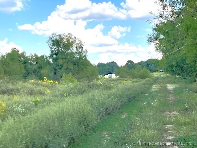 1250 Elder Branch Road Property Photo 5