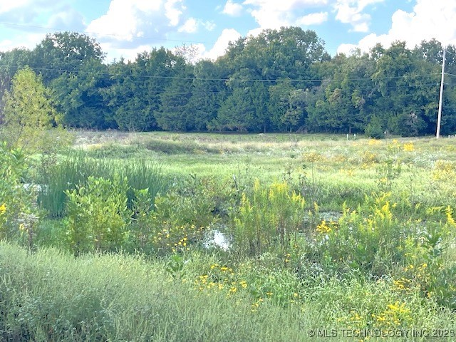 1250 Elder Branch Road Property Photo 6