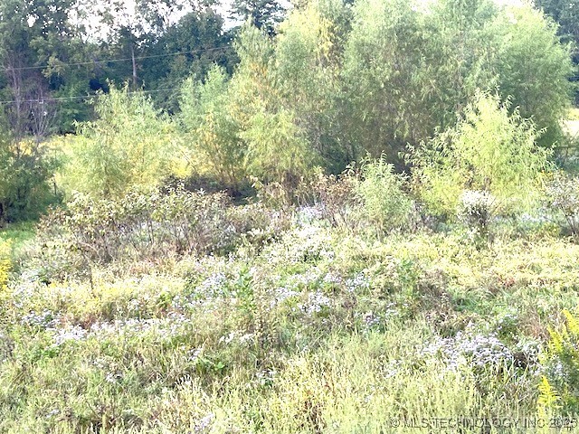 1250 Elder Branch Road Property Photo 7