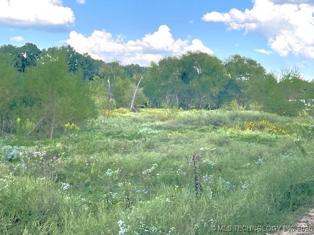 1250 Elder Branch Road Property Photo 8