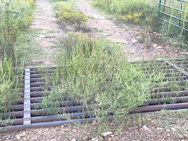 1250 Elder Branch Road Property Photo 10