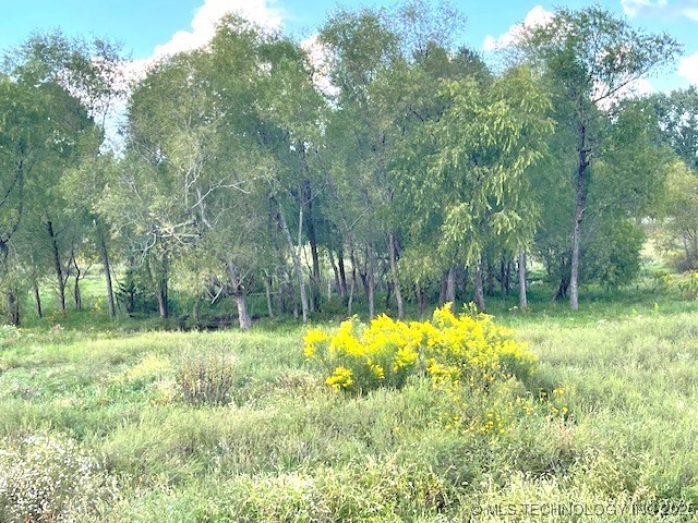 1250 Elder Branch Road Property Photo 15