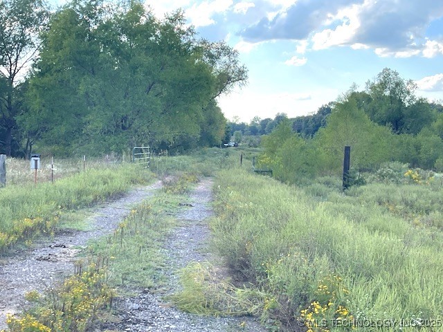 1250 Elder Branch Road Property Photo 16